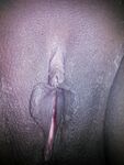 Village Bhabhi nude pics collection online