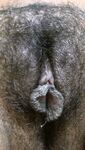 Hairy Indian pussy photos collection