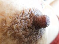 Tanker MILF naked pics taken by tenant young guy