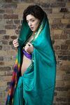 Indian Sexy Babe Namrita Green Sari Show