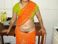 Indian Housewife Kishwar Saree Stripped Nude