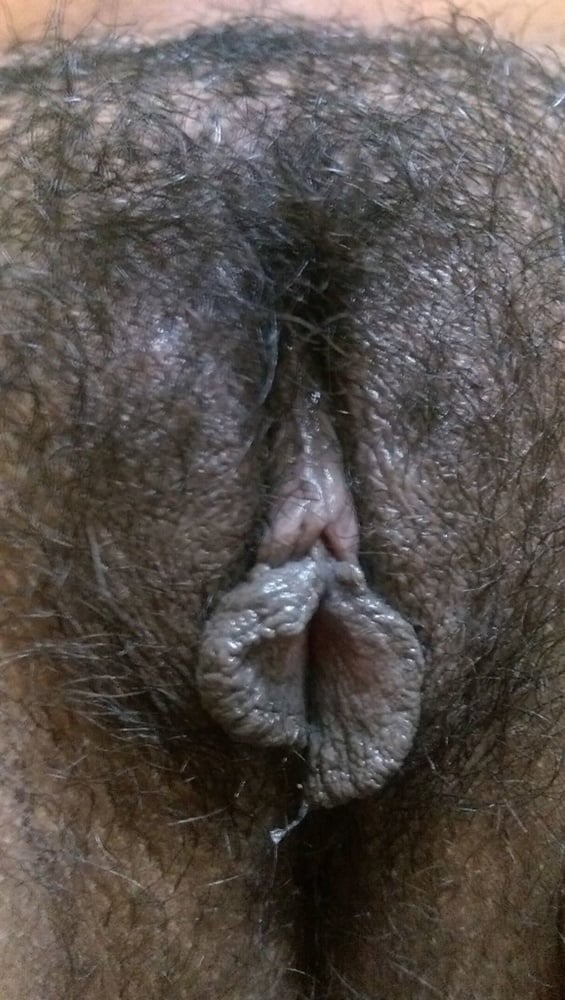 Hairy Indian pussy photos collection