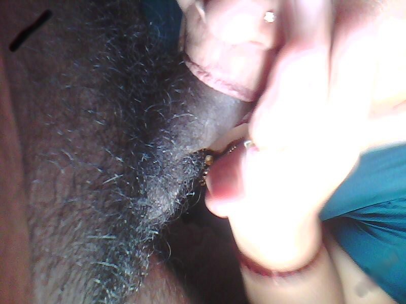 Hot Meena Bhabhi Giving Blowjob To Hubby