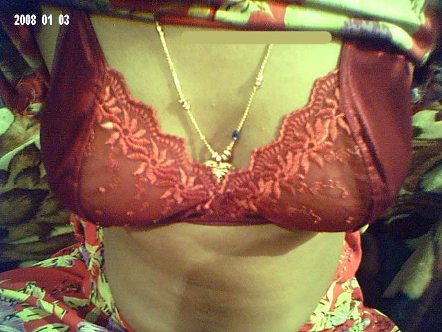 Indian Housewife Sheela Big Boobs Exposed