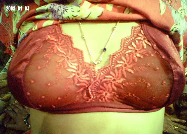 Indian Housewife Sheela Big Boobs Exposed