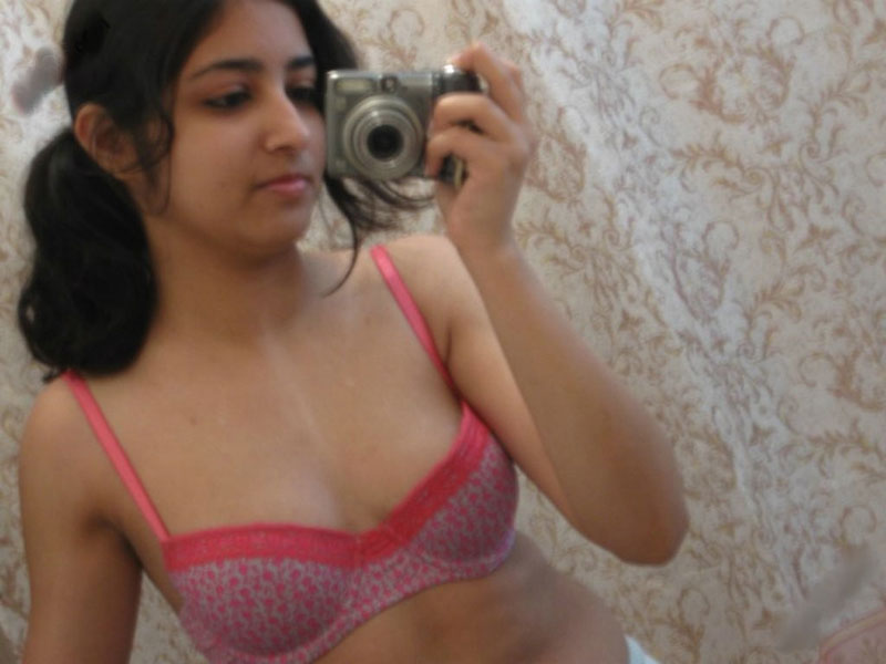 Indian Girl Seema Pink Bra Pics Leaked