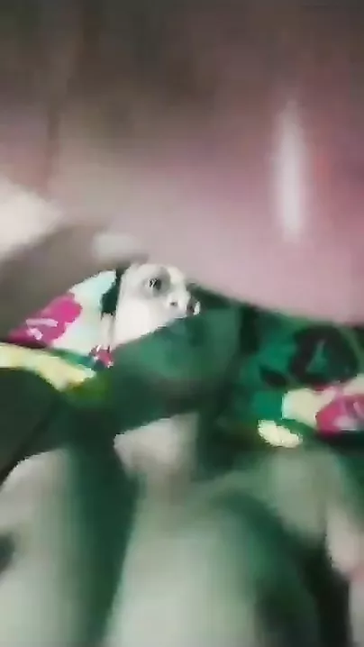 Hot Telugu girl selfie video with audio