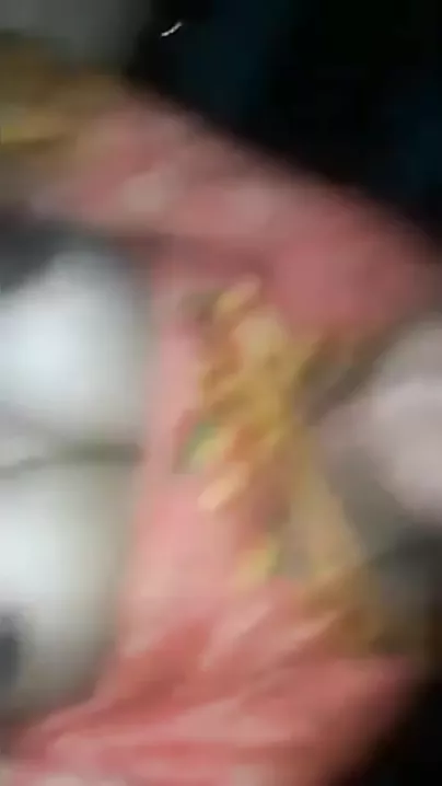 Large booby Paki Bhabhi riding knob of specie lender