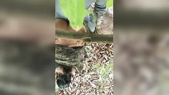 Big butt Desi Bhabhi outdoor sex with neighbor MMS