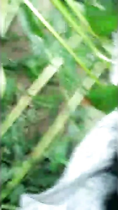 Hardcore Desi twat sex homemade movie scene