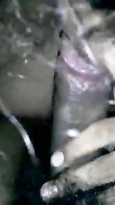BD wife engulfing dick of her secret bf on web camera