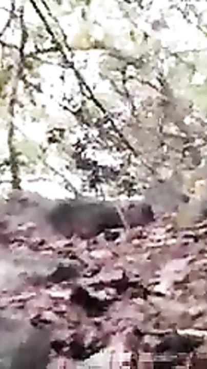 Outdoors Desi muff porn video