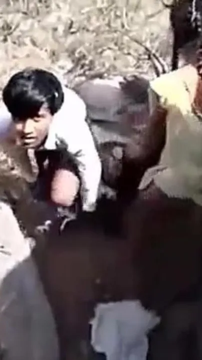 Shocking XXX Indian video! Desi village lovers outdoor caught