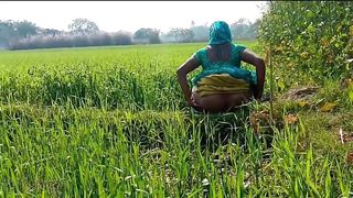 देहाती भौजी को गेहूँ के खेत मे रगड़ के चोदा