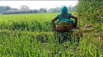 Pounding Village Wife Roughly in the Golden Wheat Field
