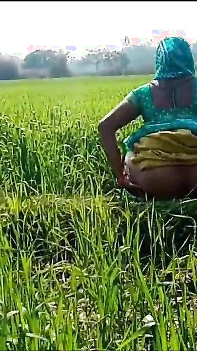 Pounding Village Wife Roughly in the Golden Wheat Field