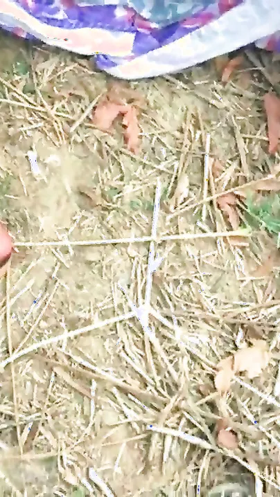 Indian couple fucking outdoor