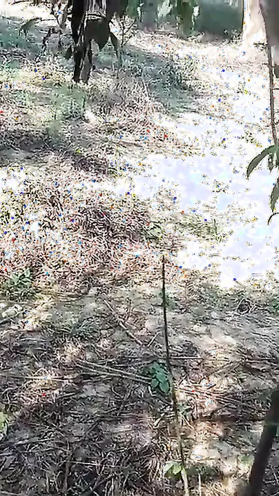 Indian Couple Injoy Outdoor Sex In Village PORN IN HINDI