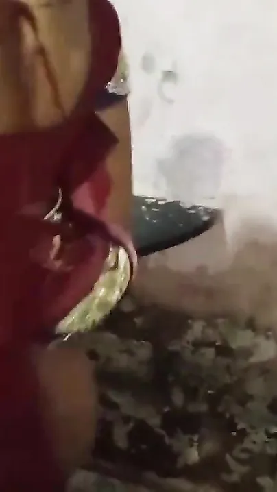Indian girl in a saree has quick sex with devar