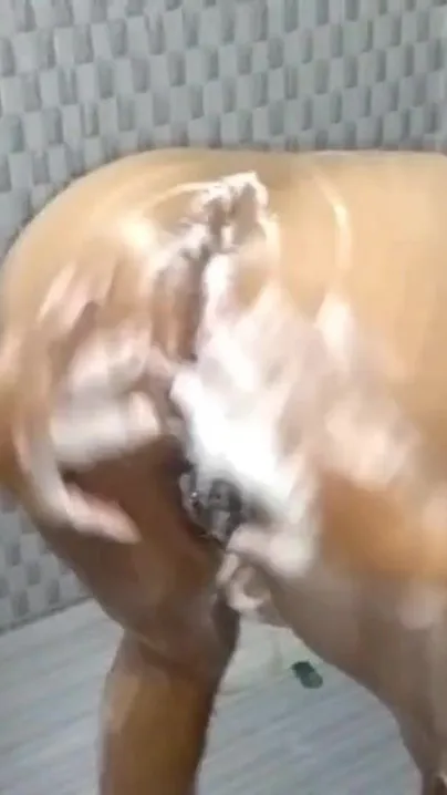 everbest caught sister masturbating in bathroom On Valentine