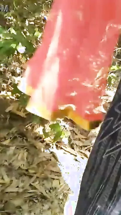 Lovelace tries to involve beautiful Desi girl in XXX action outdoors