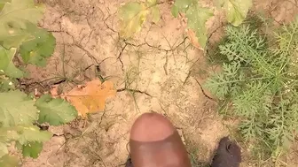 Desi village girl enjoys painful outdoor sex in amateur XXX video