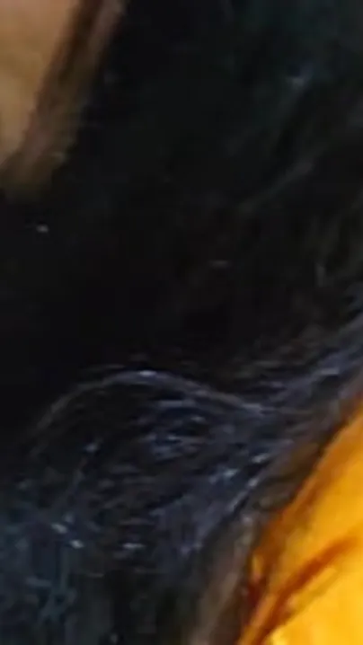 Fat Desi Bhabhi has her XXX bush banged after she blows lover's dick