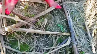 Weather is beautiful so Desi village girl enjoys XXX pole outdoors