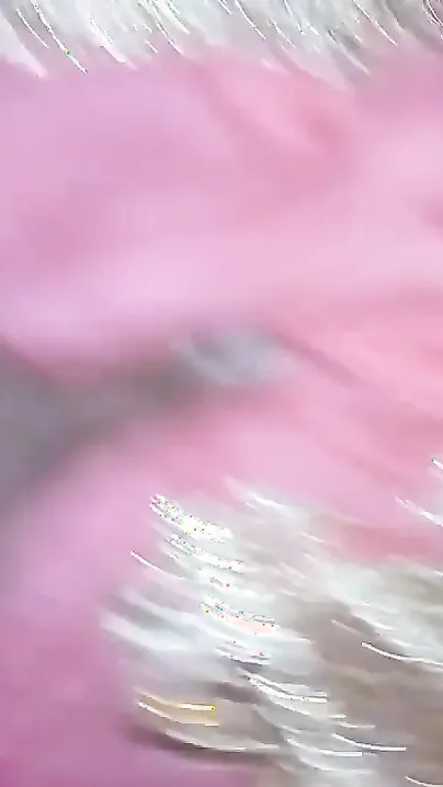 Desi in a pink outfit is excited and hubby hurries to fuck XXX cave