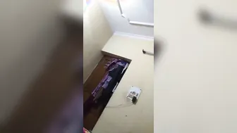 Pretty Desi Bhabhi carefully sucks hard XXX cock of husband's buddy