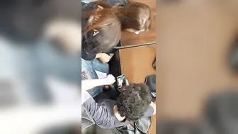 Voyeur catches Desi chick stroking boyfriend's XXX cock at college