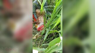 Old man fucks his hot Desi wife in the grass for amateur XXX video