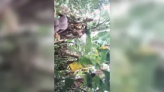 Desi MMS video of horny dude fucking mature XXX slut in the woods