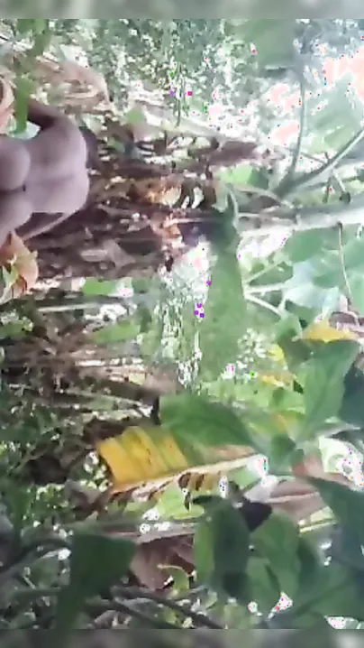 Desi MMS video of horny dude fucking mature XXX slut in the woods