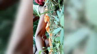 Wicked Desi lovely is fucked by XXX partner on the green grass MMS