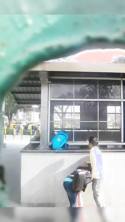 Outdoor MMS clip of office colleagues having XXX affair in public