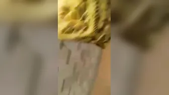 Fat Indian XXX bitch gets her shaved pussy fucked by her neighbour MMS