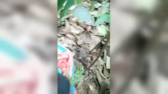 Desi college XXX girl gets her hairy pussy fucked hard in jungle MMS