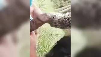 Sultry Mallu hussy impresses Desi man with deep XXX blowjob outdoors