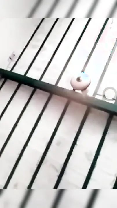Pakistani wife makes XXX video for Desi lover who wants her naked tits