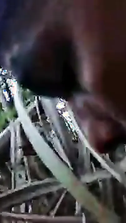 Desi girl has XXX openings fucked by boyfriend on camera in the field