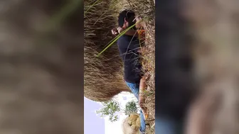 Desi XXX lovers outdoor hot fucking for the first time MMS