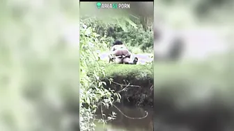 Indian couple from the is caught having sex in the jungle, desi XXX mms