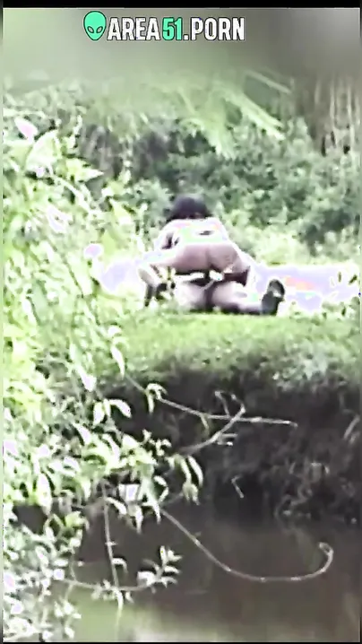 Indian couple from the is caught having sex in the jungle, desi XXX mms