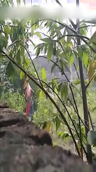 Woman is captured by Desi guy who makes a XXX video of pissing aunty