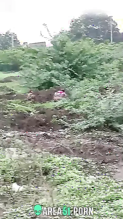 Voyeur captures Desi aunty pissing in the greenery in XXX video MMS