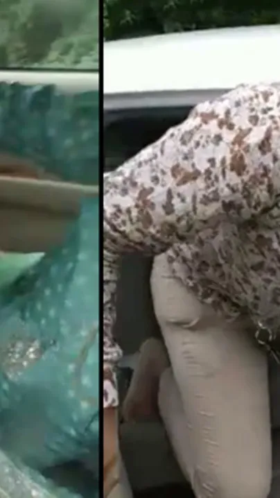 Moment cheating Desi wife is caught romping with local guy in the back of her car outdoor