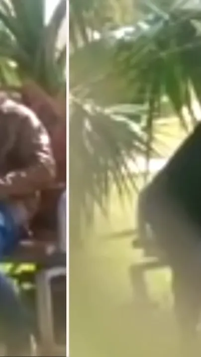 Cheating Paki aunty sucks dick outdoor in the park and swallows cum, Desi mms