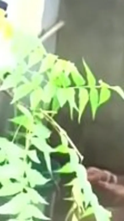Desi aunty outdoor bath captured secretly on cam by neighbor gets mms leaked online