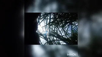 Married Woman Fucked In The Field During Harvest Time